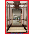 Glass Car Decoration Good Price Sightseeing Elevator Lift